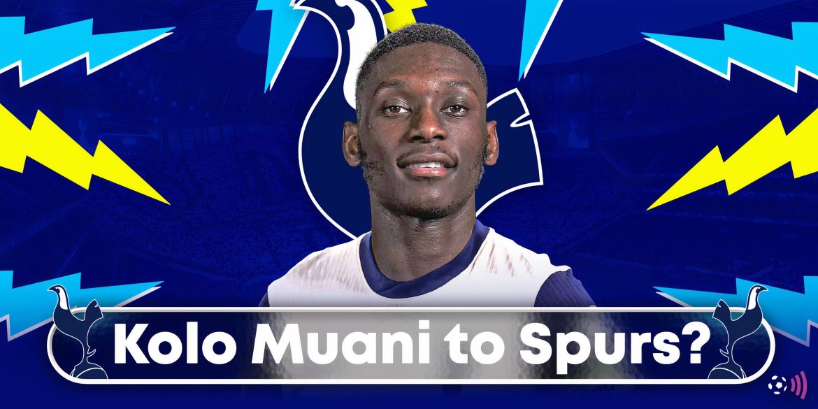 Perfect for Kolo Muani: Spurs considering late move for £52m England gem
